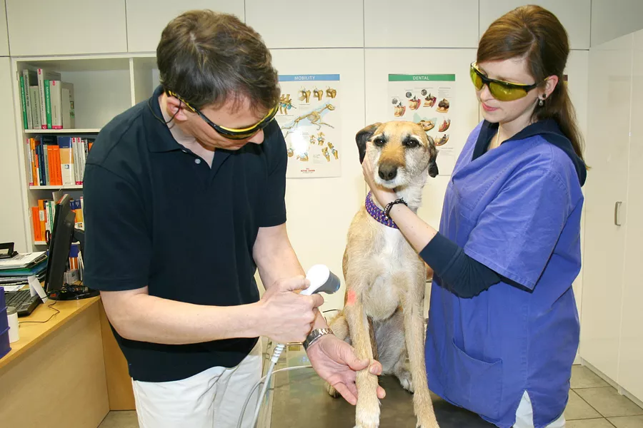 Tierarztpraxis Heidingsfeld Dennis Hahn Vormals Tierklinik Dr Schneidemann